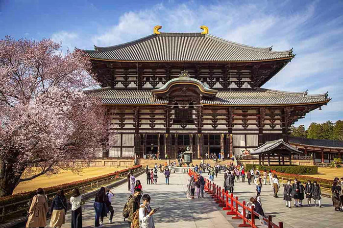 Visit Nara Park And Todai-Ji