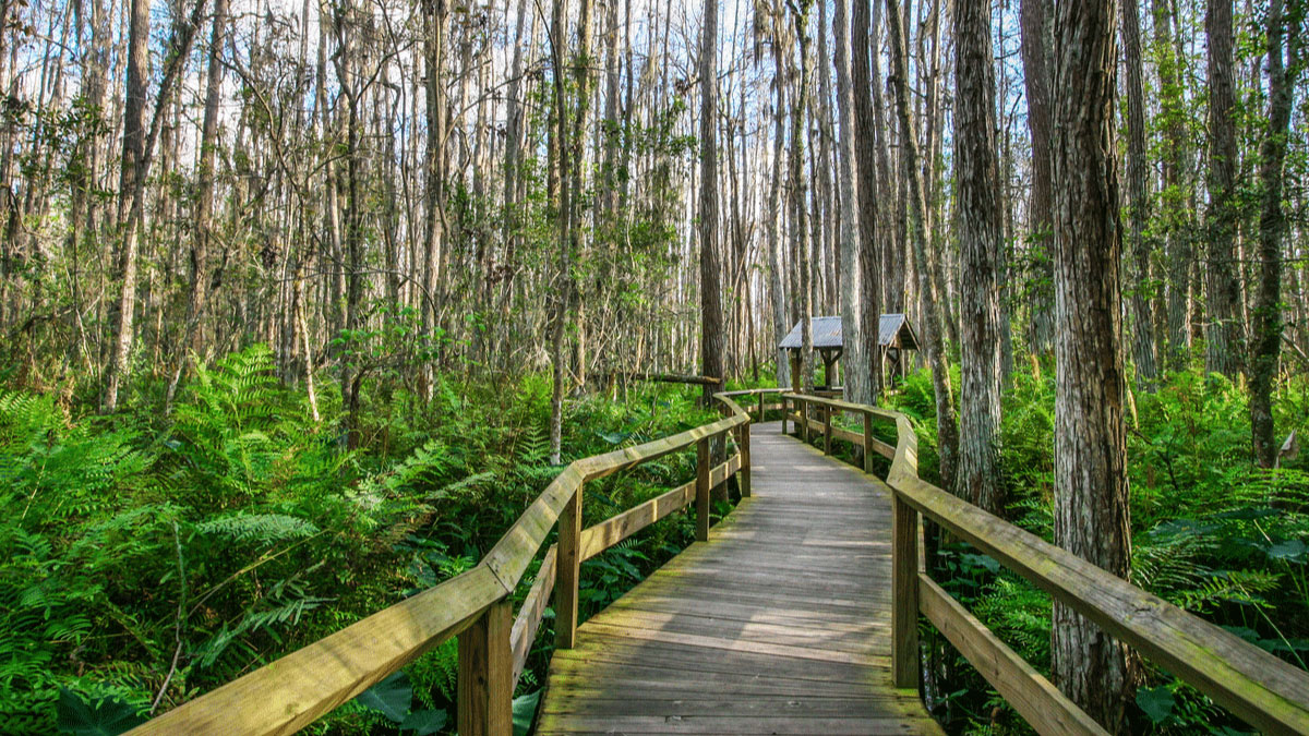 15 Epic Hikes in Florida