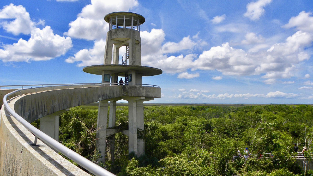 20 Epic Things to Do in Everglades National Park