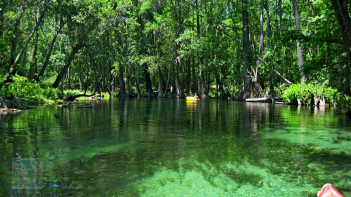 Florida Natural Wonders