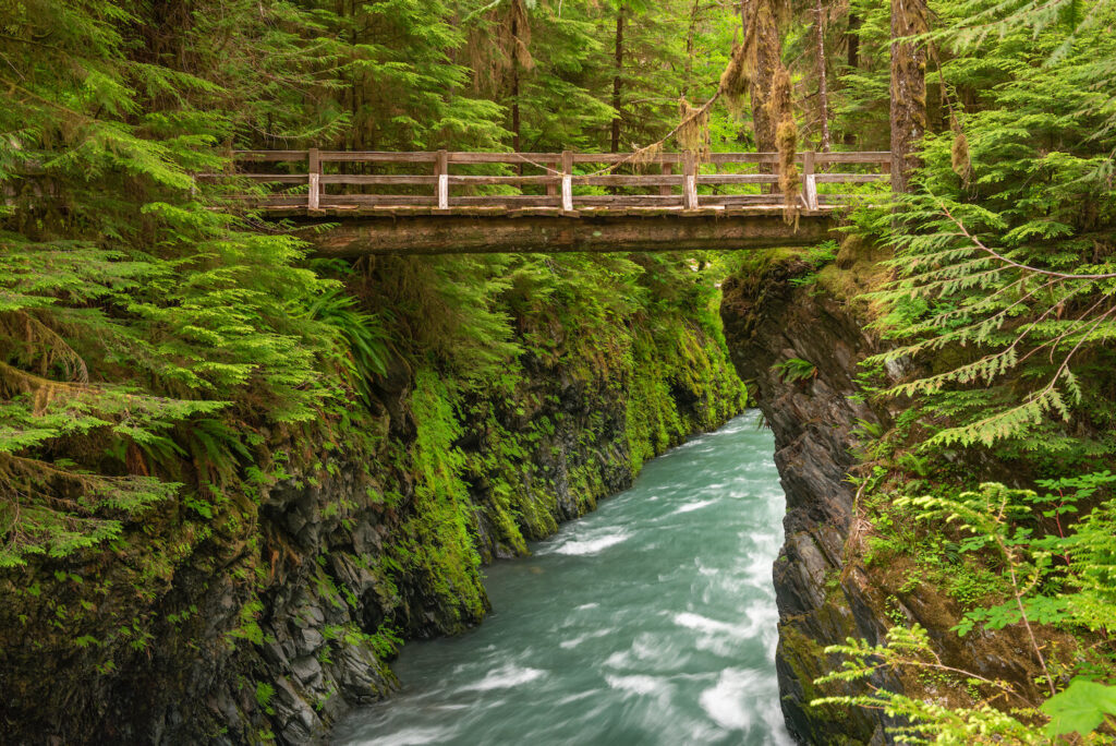 Olympic National Park