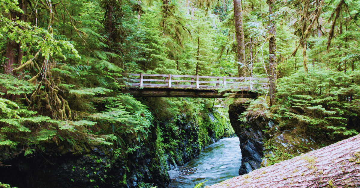 Olympic National Park Itinerary