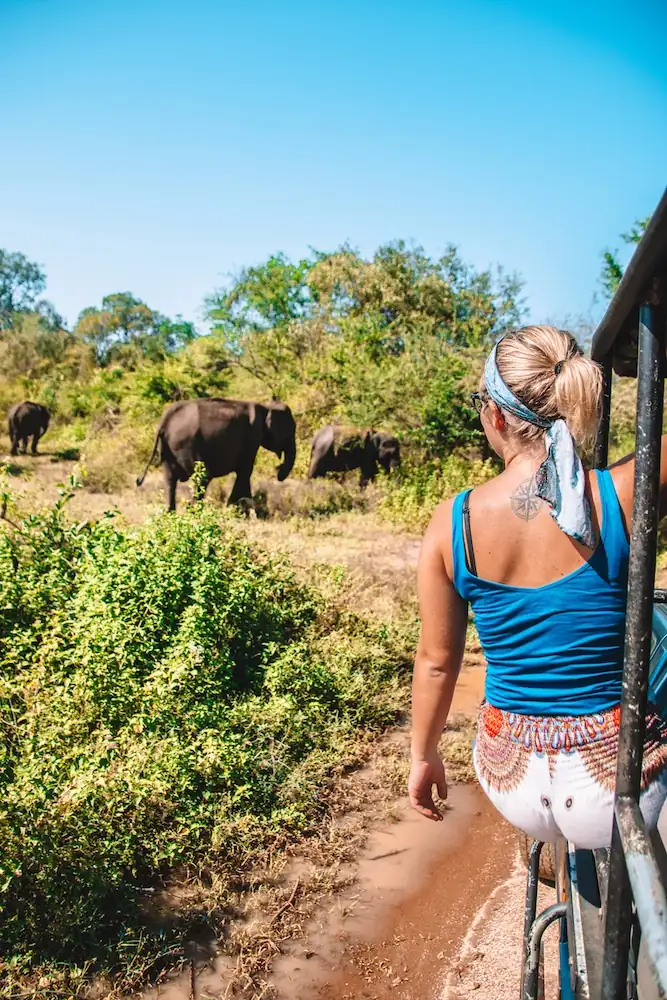 Tourists preparing for a safari experience in Sri Lanka, showcasing wildlife and nature tours