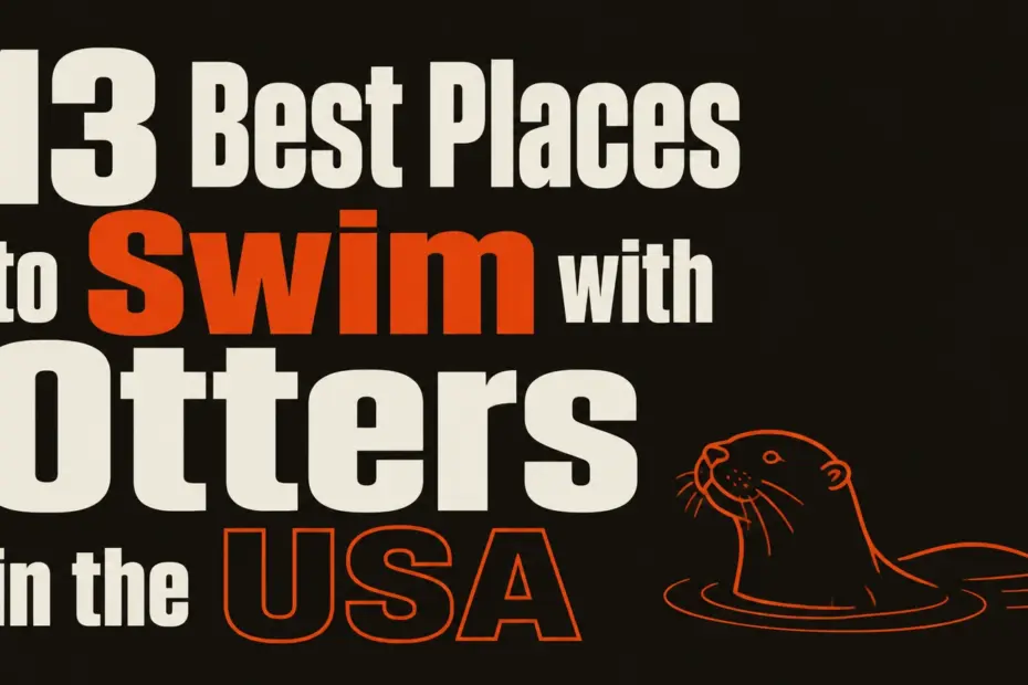 best places to swim with otters in the usa