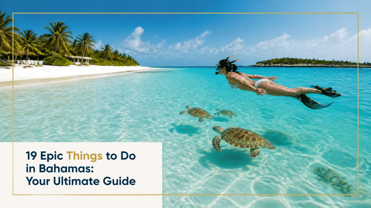 Bahamas Island Guide
