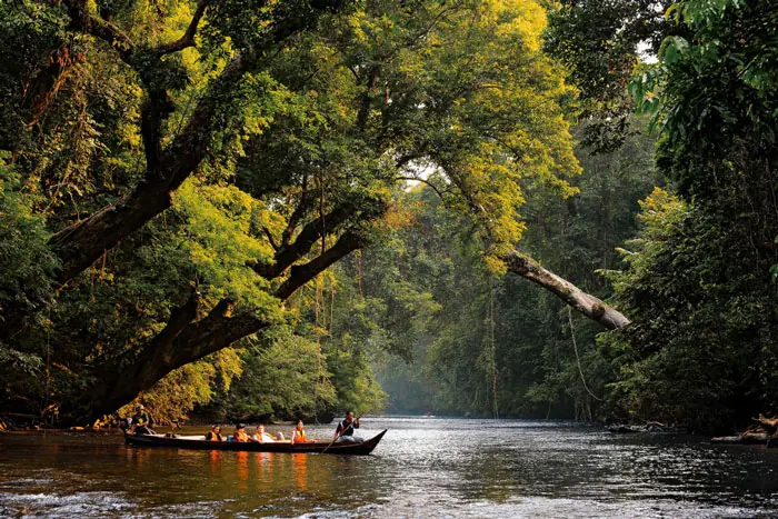 Adventure In Taman Negara