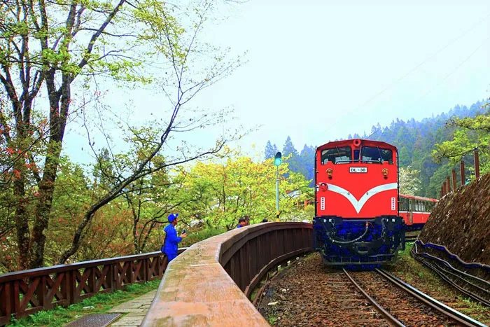 Best Time to Visit Taiwan