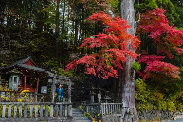 Day Trip to Nikko