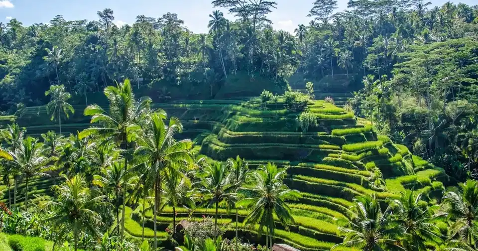 Day 2: Discovering The Heart Of Bali ā Ubud