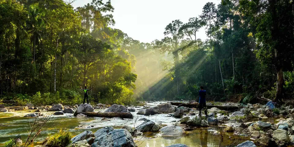 Adventure In Taman Negara