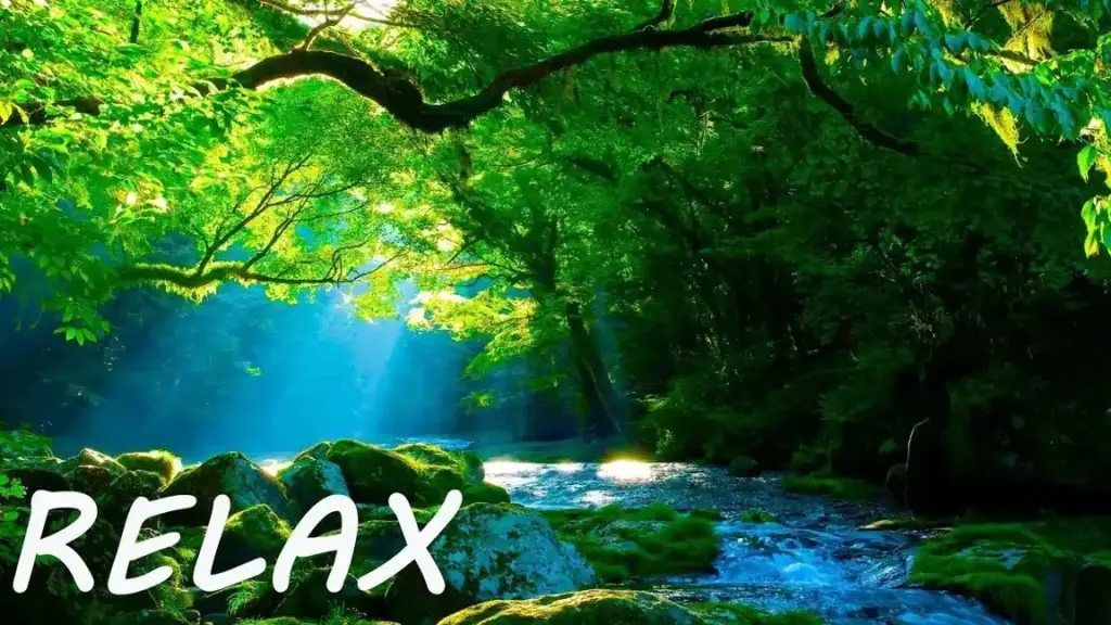 Day 4: Nature and Relaxation