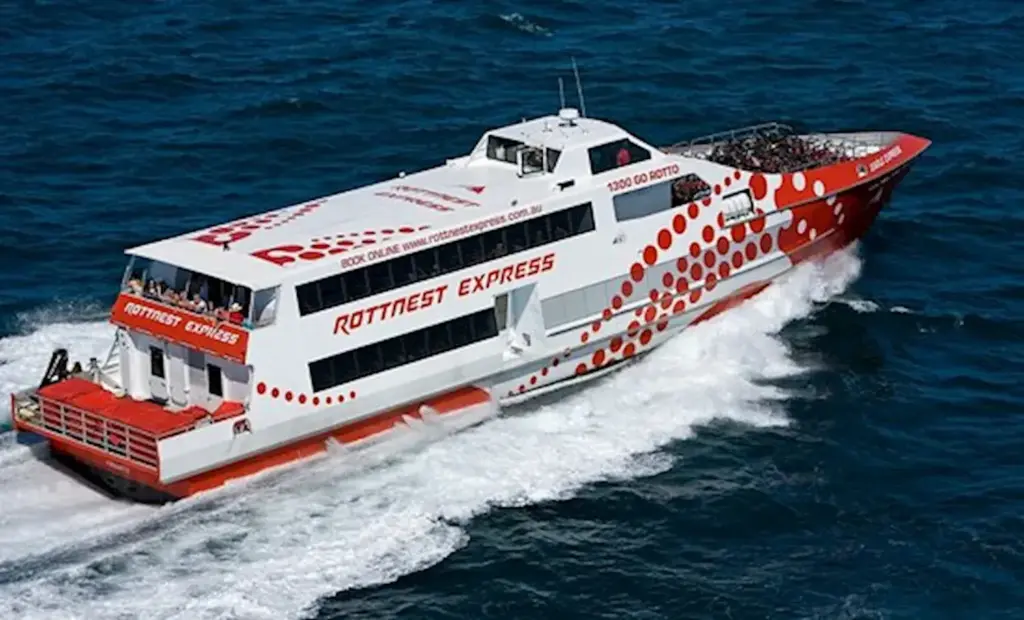 Day 5: Rottnest Island Adventure