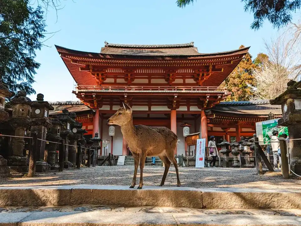 Day 6: Day Trip to Nara