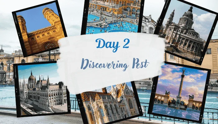 Discovering-Pest-