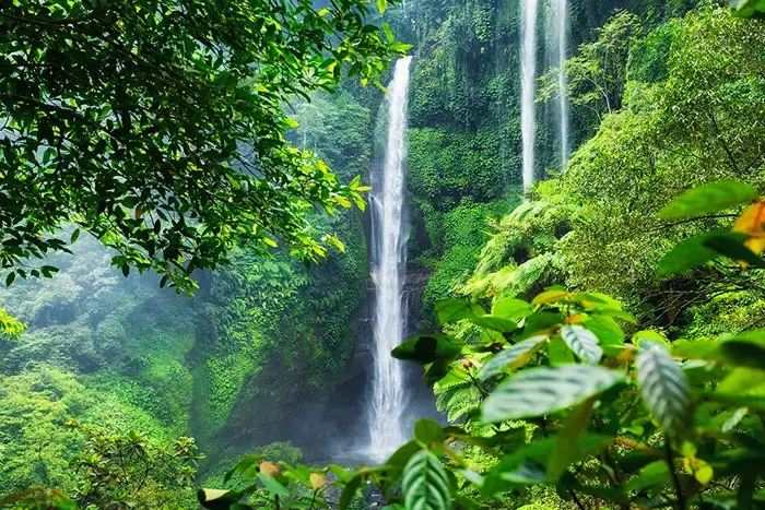 Northern Bali Waterfalls