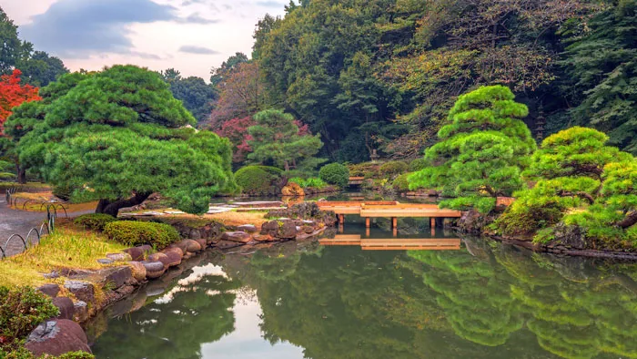 Shinjuku Gyoen National Garden