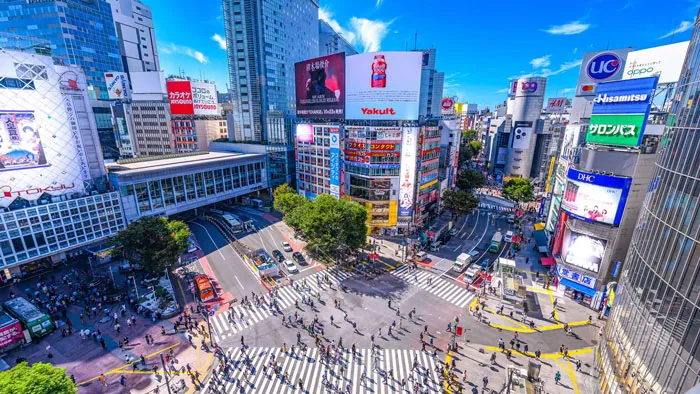 Tokyo Adventure